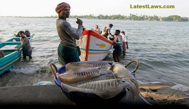 Fishermen Arrested