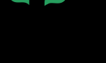 Indian Institute of Forest Management
