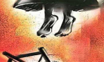 Wife Killed