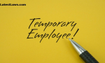 Temporary-Staff-Employee