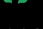 Indian Institute of Forest Management