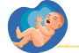 New Born Child