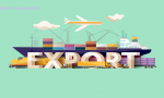 Exports