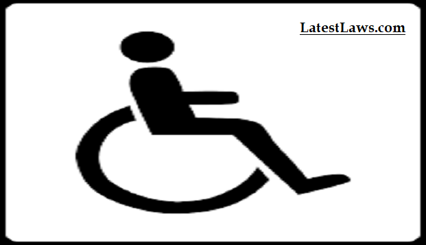 disability policy