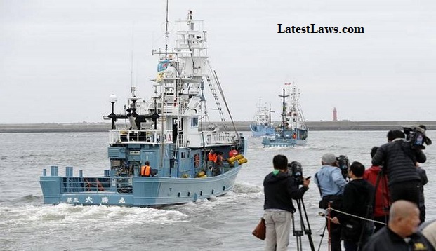 JAPAN WHALING