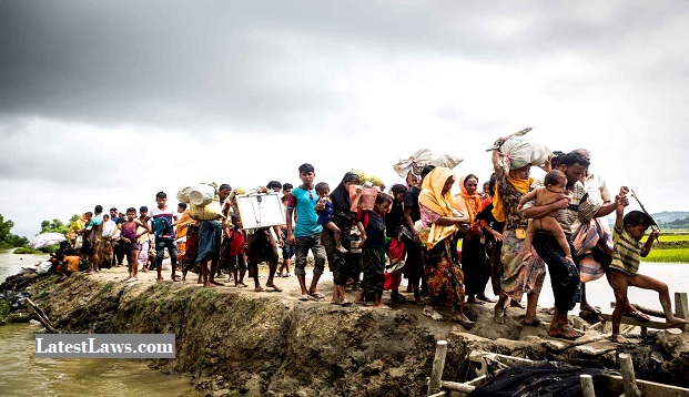 Rohingyas