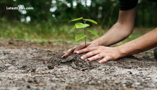 Tree Planter