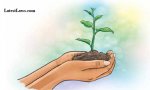 Accused to Plant Sapling.png