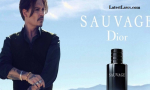 s3-news-tmp-90538-johnny_depp_sauvage--2x1--940.jpg