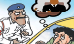 pic.png Pic By NBT