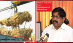 Sugar Commissioner of Maharashtra.png
