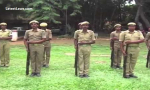 Home Guards.jpg