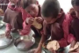 mid day meal.PNG