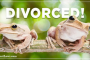 Frog Divorced Pic By RPW.png