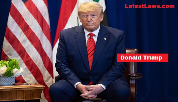 Donald Trump, PIC BY: The New Republic