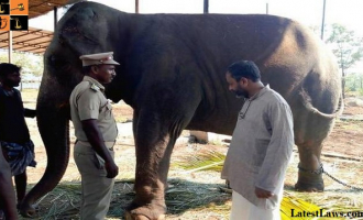 TH09ELEPHANTCAMP.jpg