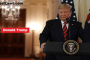 Donald Trump Impeachment, pic by: The Mary Sue