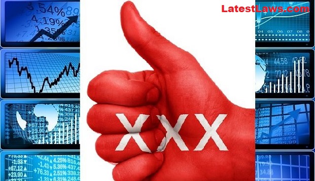 Porn Companies, pic by: Red Light Network