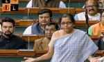 Finance Minister Nirmala Sitaraman (Pic By Toi).png