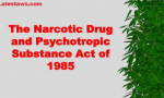 Narcotic Drugs and Psychotropic Substances Act, pic by: slideshare.net