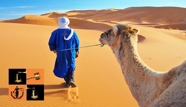Camel Safari.jpg