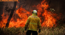 Australia: Bush-fire, pic by: Bloomberg