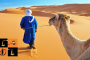 Camel Safari.jpg