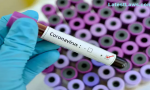 Coronavirus International Health Emergency, pic by:  The Economic Times