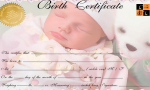birth certificate (Pic by Google).jpg