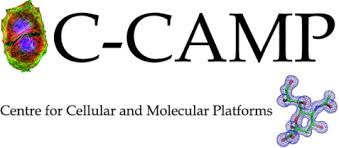 C-Camp.jpg