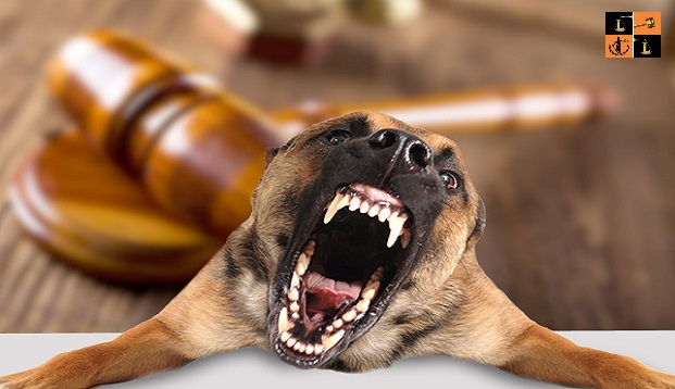 dog-bite-personal-injury (Pic by Google).jpg