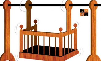 Juvenile-1 (Pic by Indian Express).jpg
