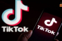 Tik Tok.jpg, pic by google
