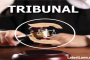 Tribunals, pic by: Basics