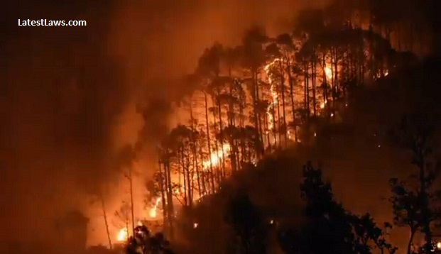 Uttarakhand-Forest Fire.jpg, pic by google