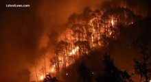 Uttarakhand-Forest Fire.jpg, pic by google