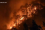 Uttarakhand-Forest Fire.jpg, pic by google