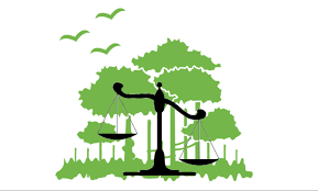 Environmental Law.png