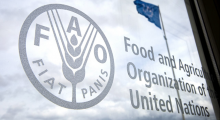 United Nations Food and Agriculture Organization.png