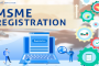 MSME.png