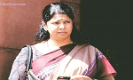 DMK leader Kanimozhi.png