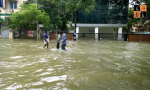 Water Logging.jpg