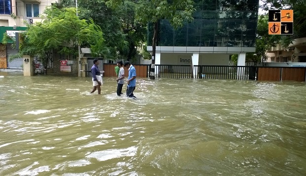 Water Logging.jpg