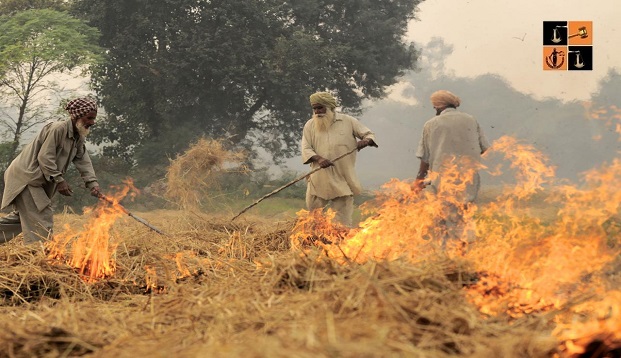 Stubble Wearing by Farmers.jpg