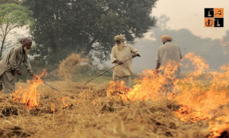 Stubble Wearing by Farmers.jpg