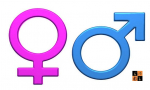Male-Female.jpg