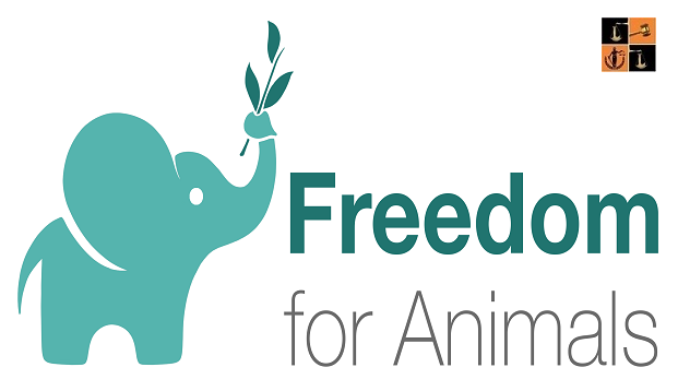 Animal Rights.png