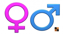 Male-Female.jpg