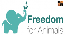 Animal Rights.png