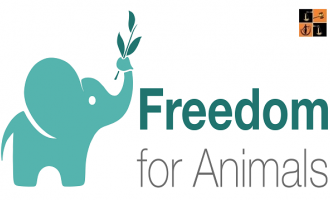 Animal Rights.png
